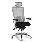 CoolMesh Pro Multi-function High Back