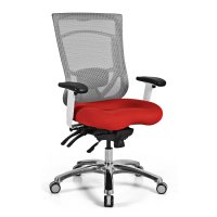 CoolMesh Pro Multi-function High Back