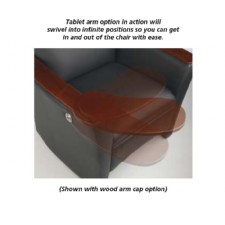 Z-Lounge 520 Leather Club Chair