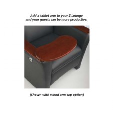 Z-Lounge 520 Leather Club Chair