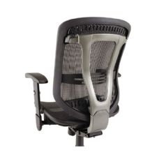 Eon Series ALEEN 4218  Multifunction Mid-Back Mesh Chair -Black