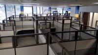 Example Jobs in the Last Few Quarters